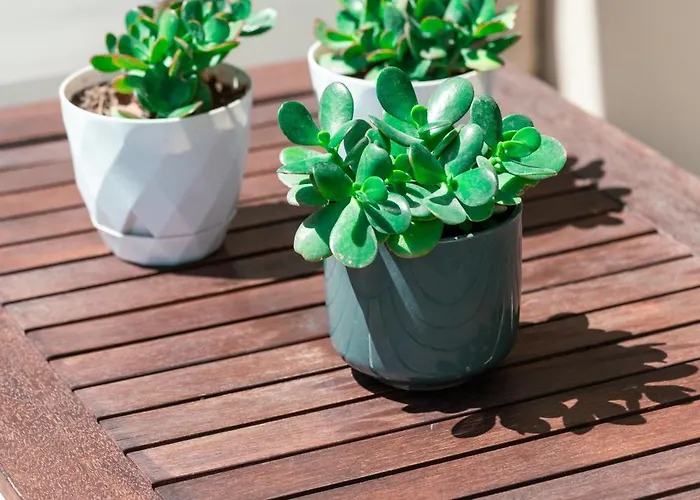 Airzen Prázdninový dům Kos